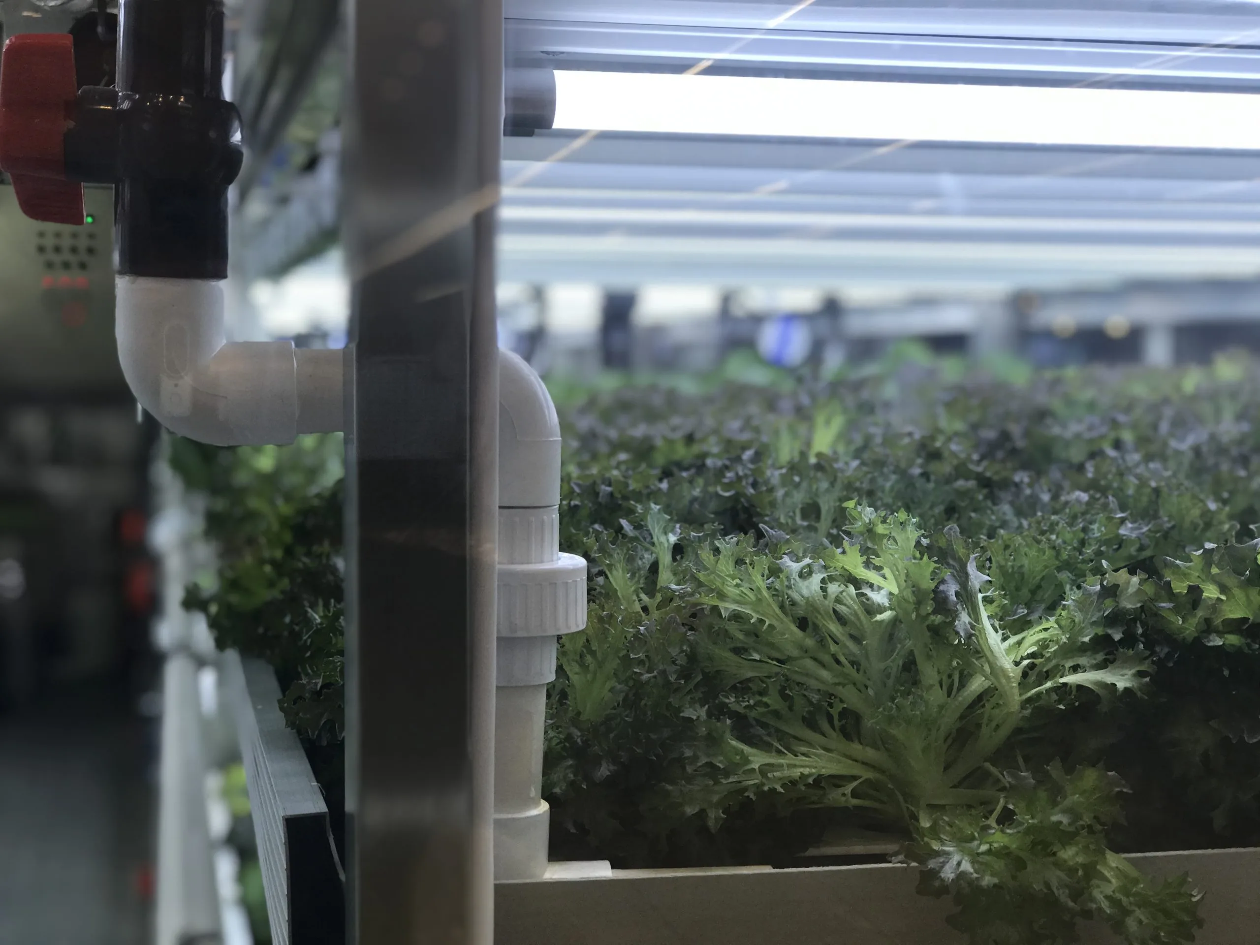 Hydroponic Farming