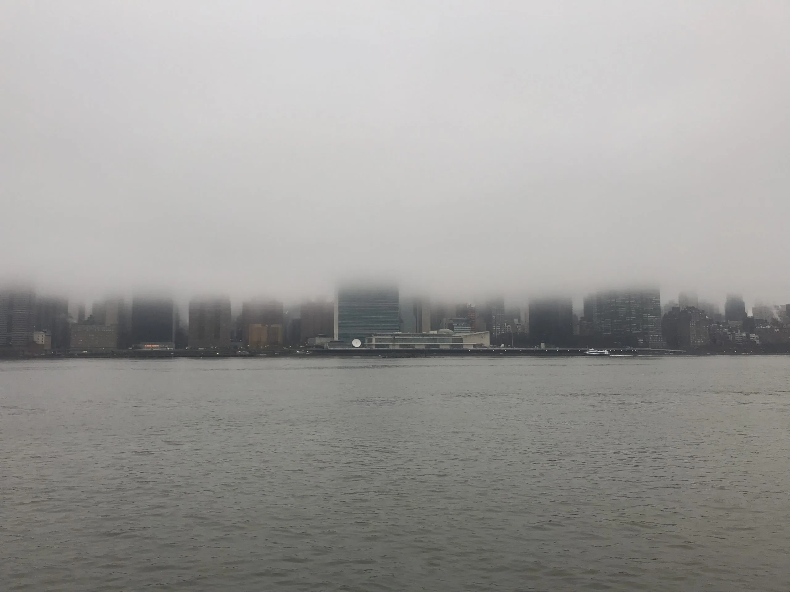 Back in New York